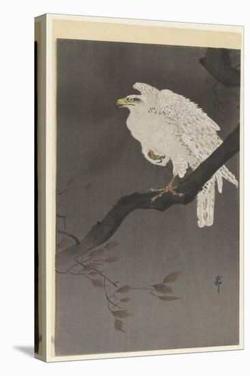 Snow Eagle on a Branch, 1910-30 (Colour Woodcut)-Ohara Koson-Premier Image Canvas
