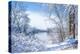Snow Flocked Trees, Mississippi River-Steven Gaertner-Premier Image Canvas