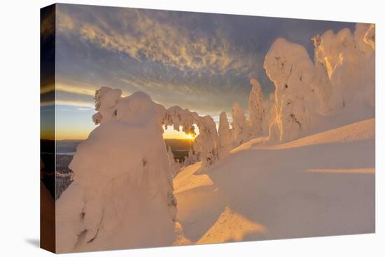 Snow Ghosts in the Whitefish Range, Montana, USA-Chuck Haney-Premier Image Canvas