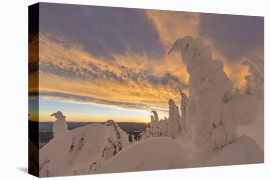 Snow Ghosts in the Whitefish Range, Montana, USA-Chuck Haney-Premier Image Canvas