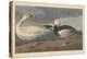 Snow goose, 1837-John James Audubon-Premier Image Canvas