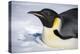 Snow Hill Island, Antarctica. Close-up emperor penguin on its belly resting.-Dee Ann Pederson-Premier Image Canvas