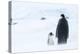 Snow Hill Island, Antarctica. Emperor penguin parent out for a walk with tiny chick.-Dee Ann Pederson-Premier Image Canvas