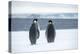 Snow Hill Island, Antarctica. Two adult Emperor penguins have traveled to fish.-Dee Ann Pederson-Premier Image Canvas