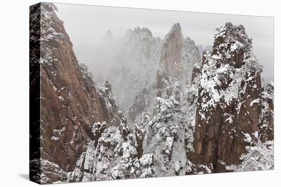 Snow, Huangshan or Yellow Mountains, Anhui Province, China-Peter Adams-Premier Image Canvas