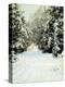 Snow-Laden Trees, 1887-Walter Launt Palmer-Premier Image Canvas