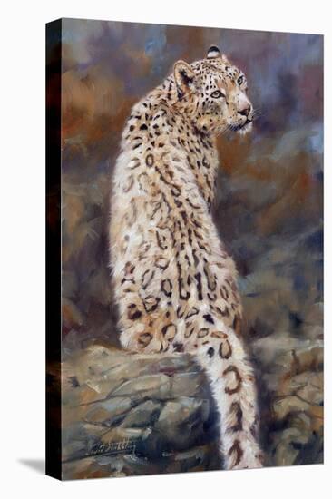 Snow Leopard 2-David Stribbling-Stretched Canvas