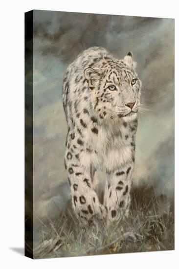 Snow Leopard panel-David Stribbling-Stretched Canvas