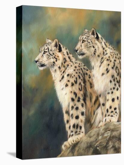 snow leopard's rock-David Stribbling-Stretched Canvas