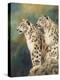 snow leopard's rock-David Stribbling-Stretched Canvas