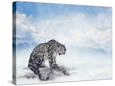 Snow Leopard Sitting On The Rock Photographic Print Svetlana Foote Art Com Snow Leopard Sitting On The Rock Photographic Print Svetlana Foote Art Com