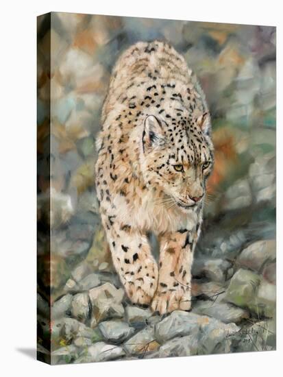 Snow Leopard Stroll-David Stribbling-Stretched Canvas