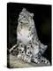 Snow Leopard, Uncia Uncia, Panthera Uncia, Nepal-Andres Morya Hinojosa-Premier Image Canvas