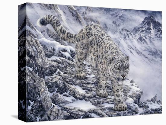Snow Leopard-Jeff Tift-Premier Image Canvas