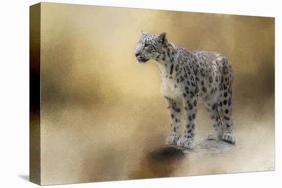 Snow Leopard-Jai Johnson-Premier Image Canvas