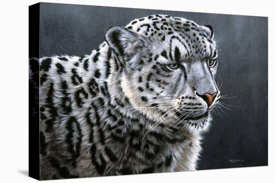 Snow Leopard-Jeremy Paul-Premier Image Canvas