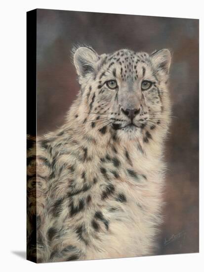 Snow Leopard-David Stribbling-Stretched Canvas