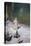 Snow Maiden, 1899-Victor Mikhailovich Vasnetsov-Premier Image Canvas