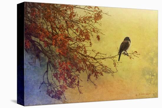 Snow Oak-Chris Vest-Stretched Canvas