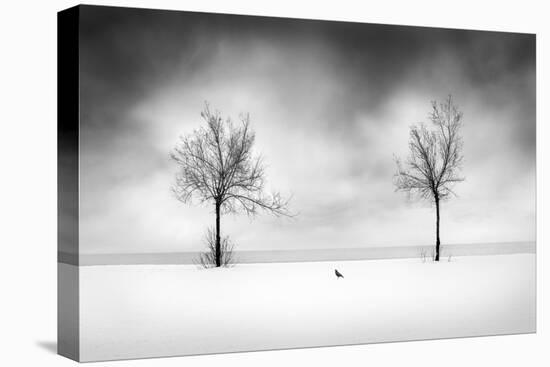 Snow on the Beach-George Digalakis-Premier Image Canvas