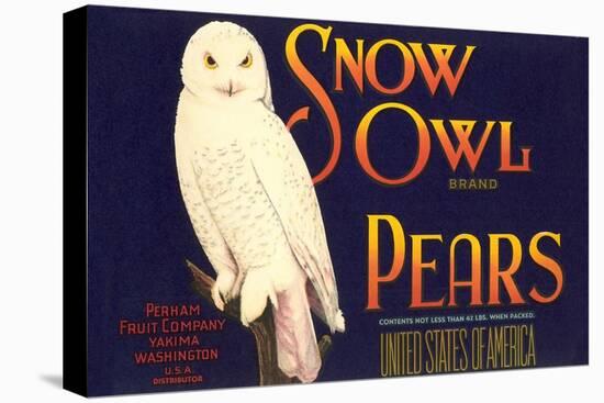 Snow Owl Pear Label-null-Stretched Canvas