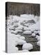 Snow Pillows on the Dolores River, San Juan National Forest, Colorado, USA, North America-James Hager-Premier Image Canvas