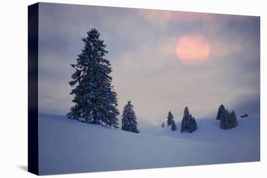 Snow Scenery, Conifers, the Sun, Cloudies, Dusk, Germany, Winter Scenery, Trees, Snow, Frost-Herbert Kehrer-Premier Image Canvas