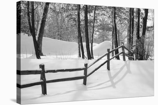 Snow Scenes 24-Monte Nagler-Stretched Canvas