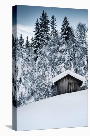 Snow Shelter-Craig Howarth-Premier Image Canvas