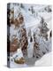 Snow, Trees, and Hoodoos, Bryce Canyon National Park, Utah, USA-James Hager-Premier Image Canvas