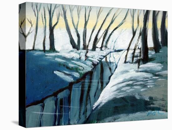 snow woodland-Paul Powis-Premier Image Canvas