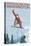 Snowboarder Jumping - Snoqualmie Pass, Washington-Lantern Press-Stretched Canvas