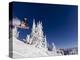 Snowboarding Action at Whitefish Mountain Resort in Whitefish, Montana, USA-Chuck Haney-Premier Image Canvas