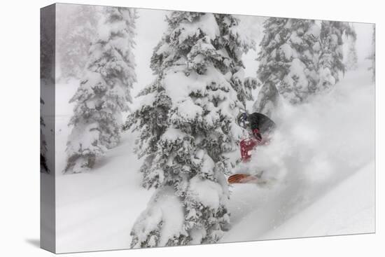 Snowboarding in powder at Whitefish Mountain, Montana, USA-Chuck Haney-Premier Image Canvas