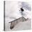 Snowboarding-null-Premier Image Canvas