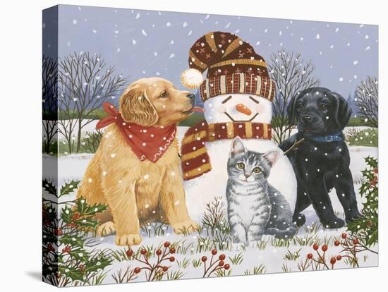 Snowboy with Little Friends-William Vanderdasson-Premier Image Canvas