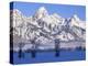 Snowcapped Mountains and Bare Tree, Grand Teton National Park, Wyoming, USA-Scott T^ Smith-Premier Image Canvas
