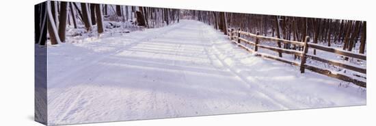 Snowcapped Road and Fence in the Forest, Grand Rapids, Michigan, USA-null-Premier Image Canvas