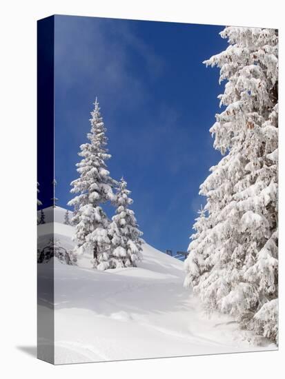 Snowcovered landscape-null-Premier Image Canvas