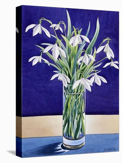 Snowdrops-Christopher Ryland-Premier Image Canvas