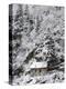 Snowed Covered Notre-Dame De La Gorge Chapel, Les Contamines, Haute-Savoie, France, Europe-null-Premier Image Canvas