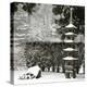 Snowfall in Portland Japanese Garden, Portland, Oregon, USA-William Sutton-Premier Image Canvas