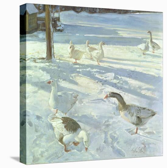 Snowfeeders, 1999-Timothy Easton-Premier Image Canvas