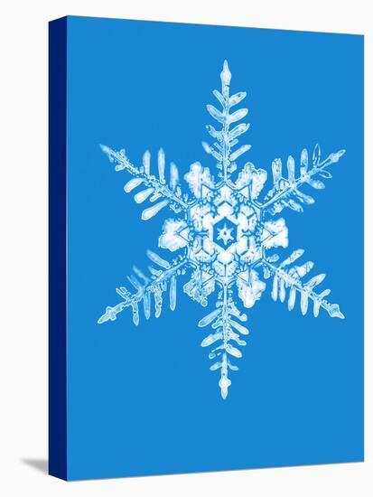 Snowflake-Mehau Kulyk-Premier Image Canvas