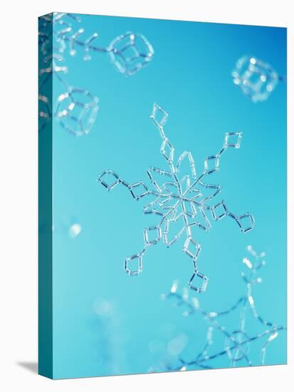 Snowflake-Lawrence Lawry-Premier Image Canvas