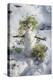 Snowman at Vallombrosa-Guido Cozzi-Premier Image Canvas