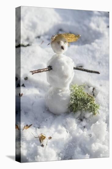 Snowman at Vallombrosa-Guido Cozzi-Premier Image Canvas