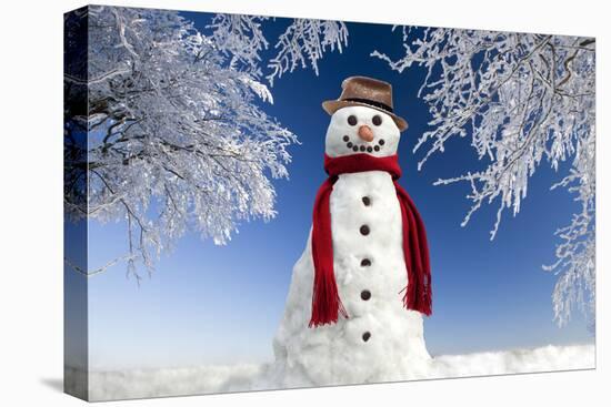 Snowman in Winter Snow-null-Premier Image Canvas