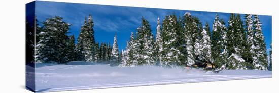 Snowmobiling in Yellowstone National Forest, CA-null-Premier Image Canvas