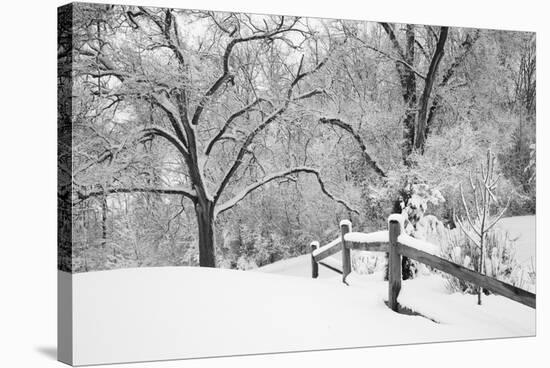 Snowscape, Farmington Hills, Michigan ‘08-Monte Nagler-Stretched Canvas